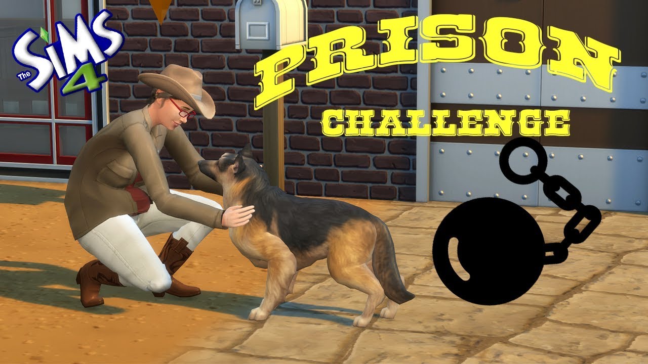 Prison challenge, ep63 # Rénovation de l'extrême !