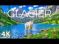 Glacier National Park 4K – Mountain Goats, Alpine Lakes & Wildlife in America’s Crown Wilderness