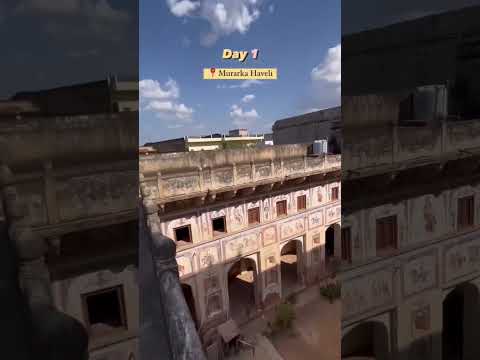 Fun Things to Do in Nawalgarh | Travel Guide (2024) | Best Places to Visit