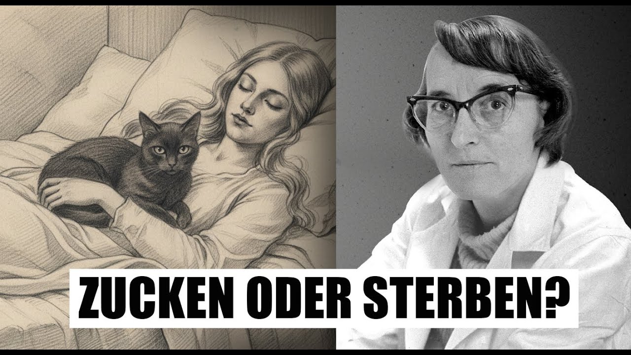 Die Wahrheit über das Zucken beim Einschlafen – Was die Wissenschaft nicht erklären kann