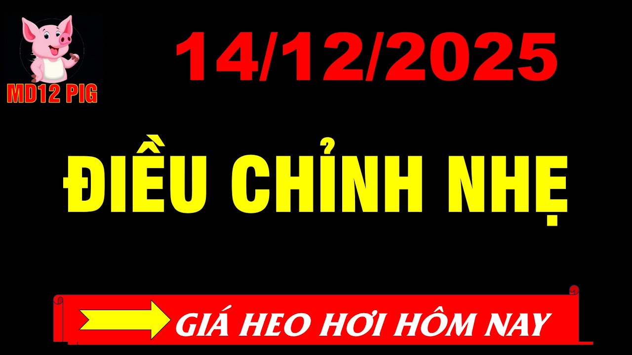 Giá heo hơi hôm nay 14/12/2025 | ĐIỀU CHỈNH NHẸ | md12pig 