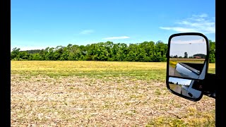 Does Fall Spraying of Glyphosate Pay Off?