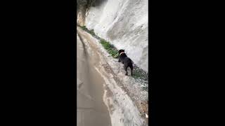 22 01 2023 - Bill Kaulitz Instagram Stories