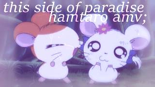 [Day 18] This Side Of Paradise | Hamtaro AMV
