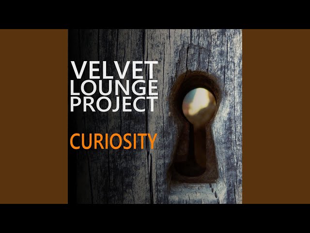 Velvet Lounge Project - Curiosity