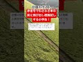 赤信号でわざわざ車の前に飛び出し度胸試しする小学生！ #時事ネタ #ネットニュース #小学校 #迷惑 #横断歩道 #shorts #独り言