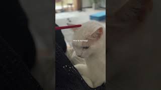 This is how I recharge 💛
Day 53/365 ✨
This is how I recharge 💛
A few quiet rows…
and my little supervisor is already on duty 🐱
Back to the hook ✨ This is how I recharge 💛