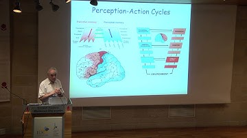 Naftali Thisby: Deep Neural Networks: An Information Theoretic Perspective