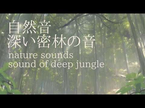 【ASMR風】1時間 自然音 深い密林の音 1hour nature soundssound of deep jungle