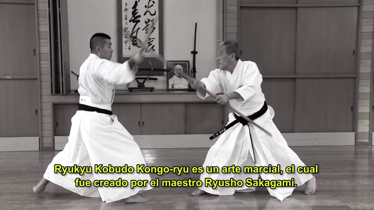 Ryukyu Kobudo Kongo-ryu (Español)