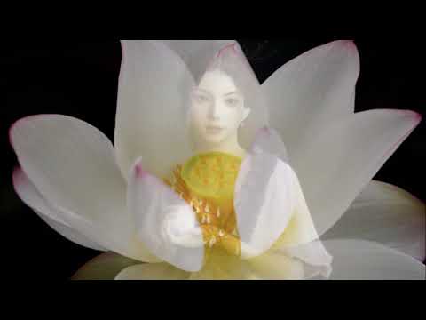 夜来香　（演奏）