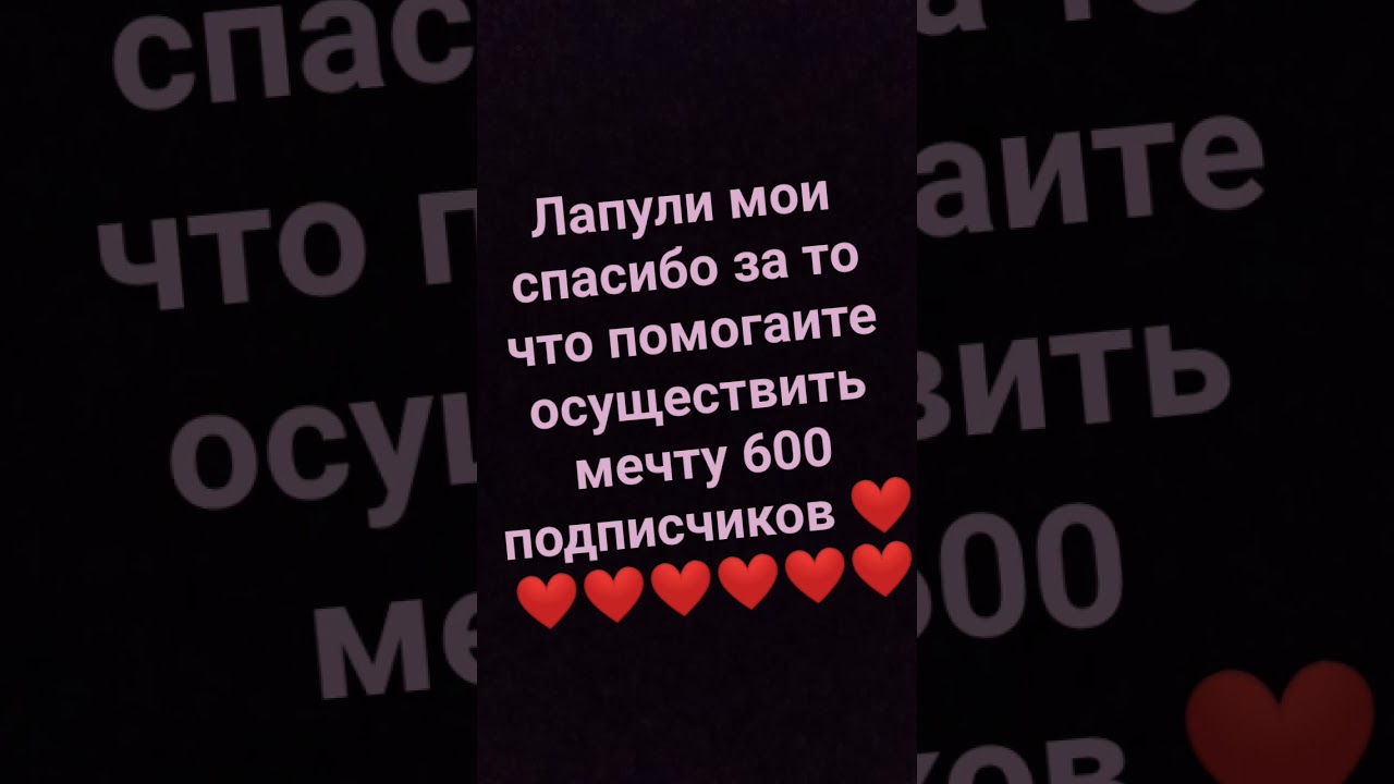 я вас обожаю ❤️