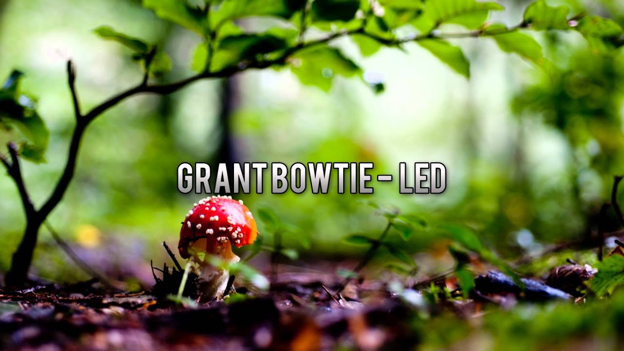 Grant Bowtie - LED [HOUSE]