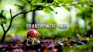 Grant Bowtie - LED [HOUSE]