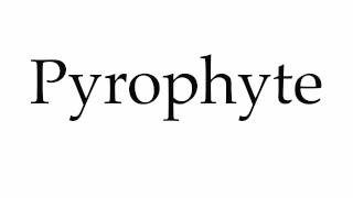 How to Pronounce Pyrophyte