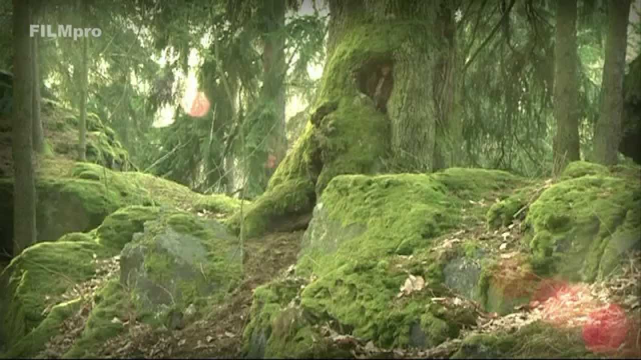 Zkamenělá svatba u obce Tupadly