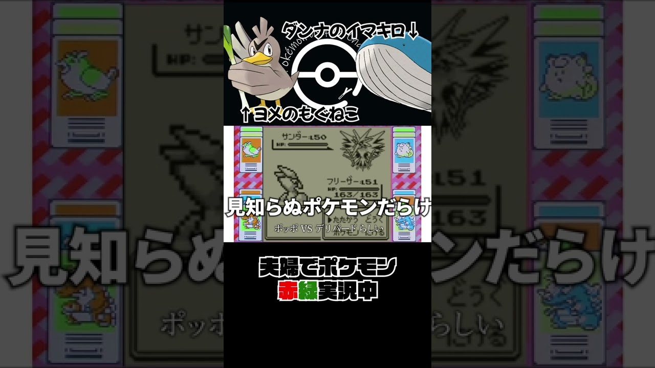 ポケモン初代 伝説のポケモンがポッポにしか見えない嫁 Shorts Youtube