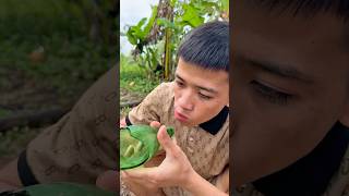 “Unbelievable Vietnam Stories You Won’t Believe Exist! 🇻🇳😂 | Weird but True!”#VietnameseCulture