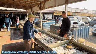 Xorazm Baliq Bozor Narxlari Dostavka Xizmati
