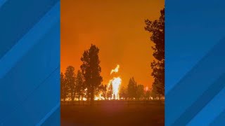 Trees go up in flames from Flat Fire