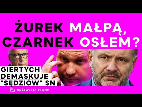 Żurek małpą, Czarnek osłem? | Giertych demaskuje "sędziów" SN | IPP
