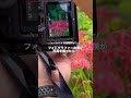 フォトグラファーの僕が秋の写真を撮った結果...