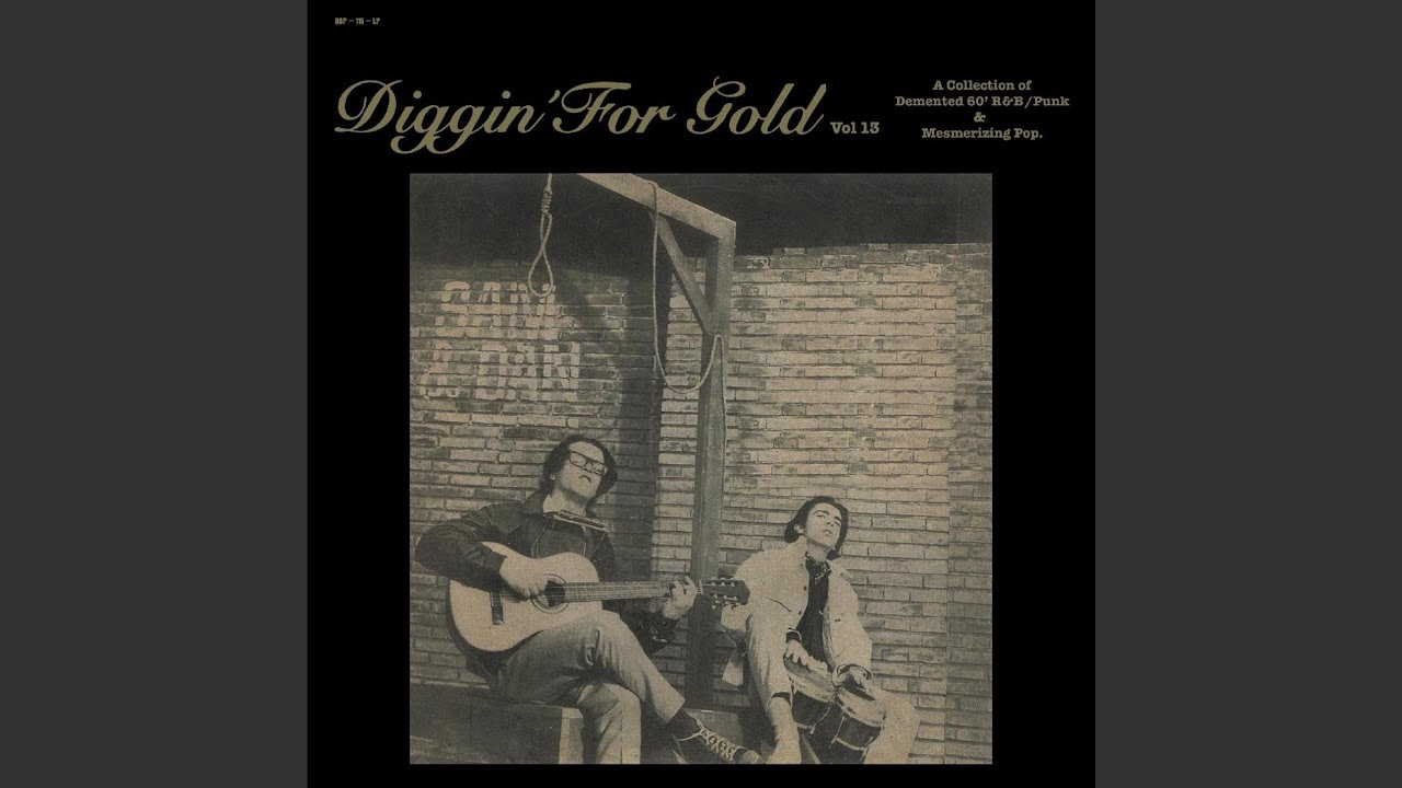 VA: DIGGIN' FOR GOLD VOL. 13 LP