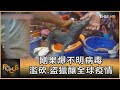 剛果爆不明病毒 濫砍.盜獵釀全球疫情｜方念華｜FOCUS全球新聞 20201223