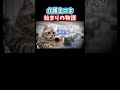 全てはここから始まった。【感動】【介護】#shorts #介護 #介護士 #猫ミーム #鳥ミーム