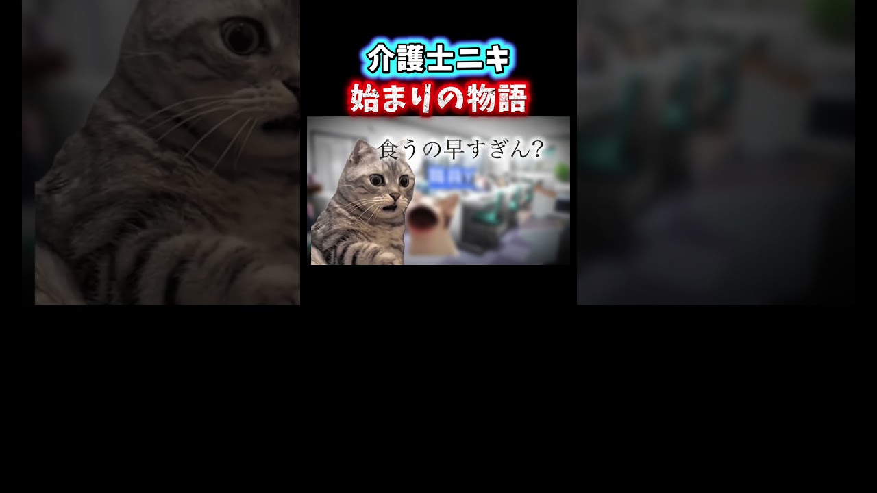 全てはここから始まった。【感動】【介護】#shorts #介護 #介護士 #猫ミーム #鳥ミーム