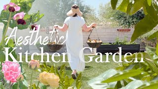 Tour My Kitchen Garden Filled with Flowers and Vegetables | Harvest & Plant Hanging Baskets screenshot 4