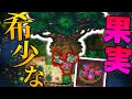 【Core Keeper】世界に1つしかない希少なHP増加フルーツを発見!!/シン・地底世界 Part26【ゆっくり実況】