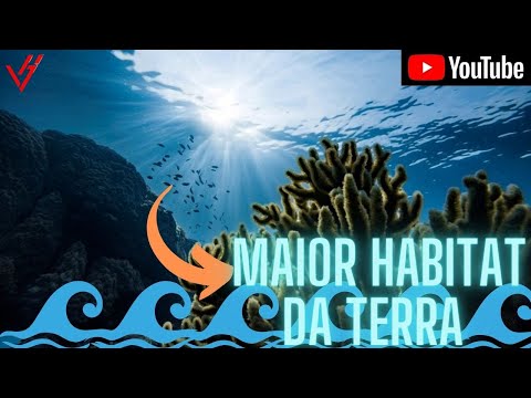 Vídeo: Qual é o maior habitat da Terra?