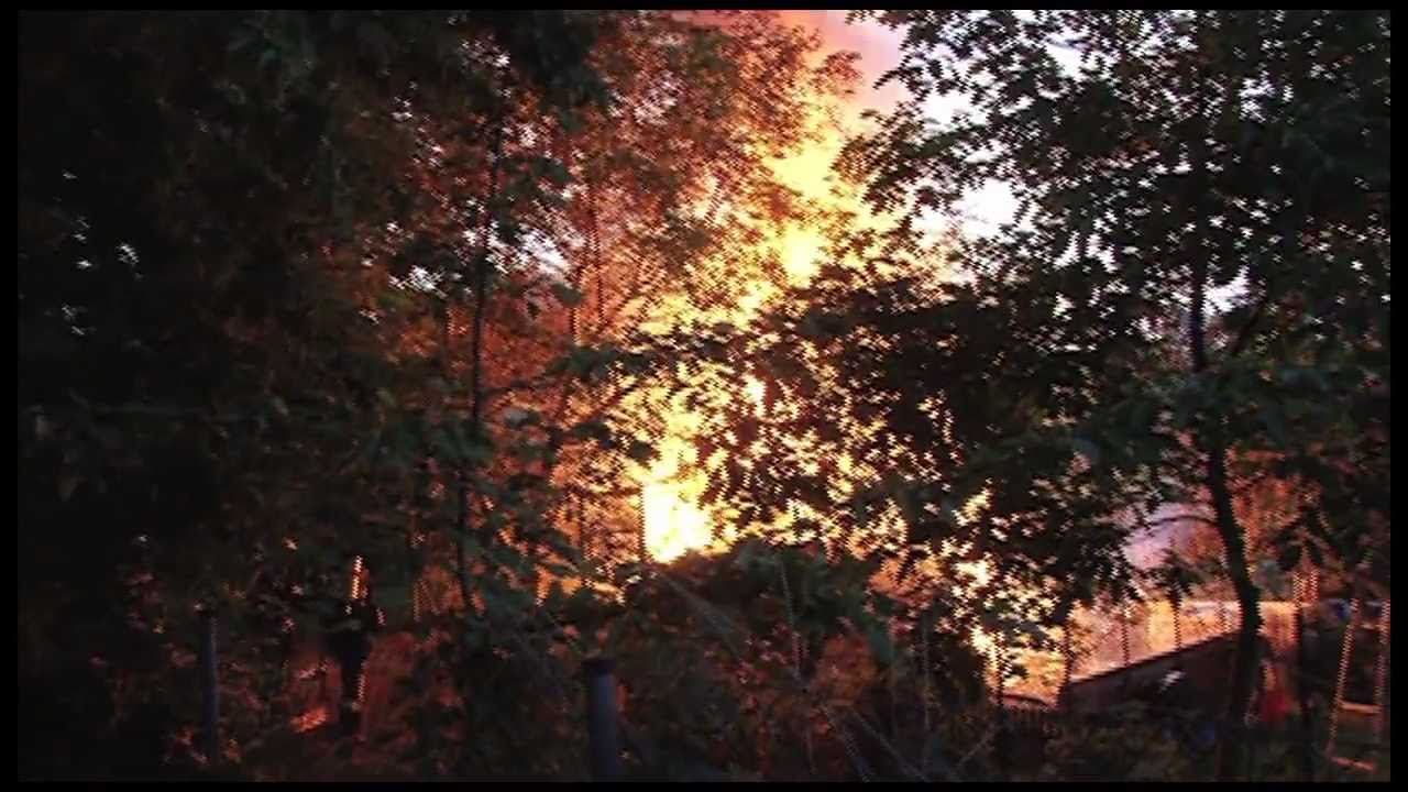 Meterhohe Flammen: Gartenhausbrand in Wiesbaden-Dotzheim