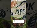 Pupuk NPK untuk sawit di lahan rawa atau gambut #palmoil #sawit #pupuksawit #npk #npk_fertilizer