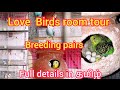 All my love birds |Breeding pairs| In one video | Tamil