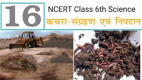 NCERT Solutions for Class 6 Science Chapter 16 Garbage In Garbage Out /कचरा- संग्रहण एवं निपटान