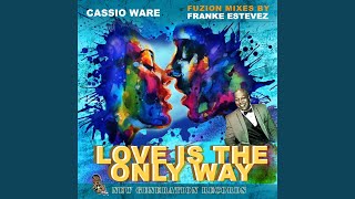 Love Is The Only Way (Franke Estevez Fuzion Vox Mix)