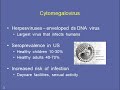 CMV Viral Load Testing: Bridging the Gap Between the Laboratory and Clinical Care