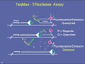 CMV Viral Load Testing: Bridging the Gap Between the Laboratory and Clinical Care