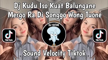DJ KUDU ISO KUAT BALUNGANE MERGO RA DI SONGGO WONG TUANE - DJ EGO WONG TUO VIRAL TIKTOK TERBARU 2025