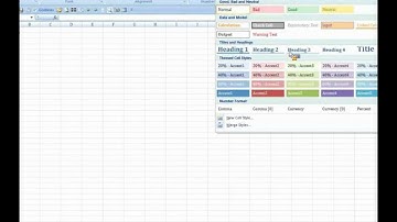 MS Excel 2007 - What