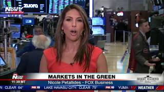 Stock Market Roaring Back - Fox Business Nicole Petallides Fnn