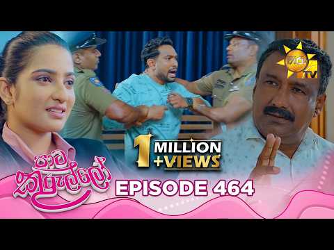 Paata Kurullo - පාට කුරුල්ලෝ | Episode 464 | 2026-02-18 | Hiru TV