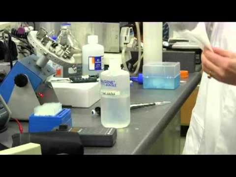 fluorimeter demo