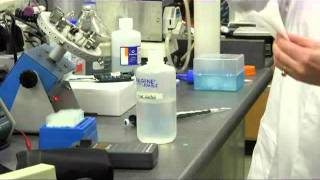 fluorimeter demo