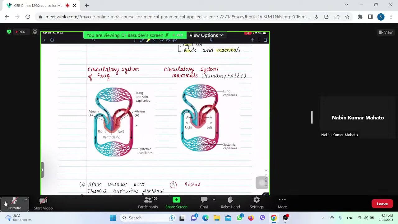 LEC9 ON CVS(CARDIOVASCULAR SYSTEM) BY BASUDEV POKHAREL SIR