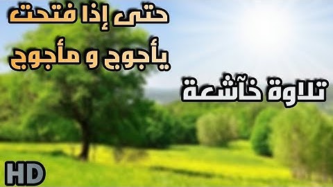 { حتى إذا فتحت يأجوج و مأجوج... } تلاوة عطرة فاتت الخياال || سلمان العتيبي