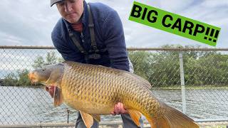 BIG Carp on the High Outgoing Tide