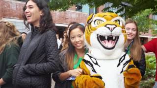 Homecoming 2016 Recap